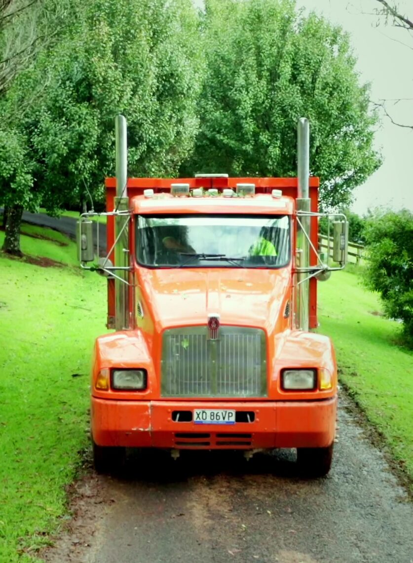 vlcsnap-2025-12-18-13h50m27s388